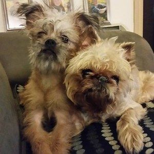 Meet your Posher, Jayme